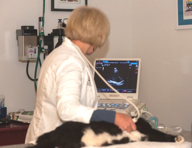 Hospital Tour - ultrasound