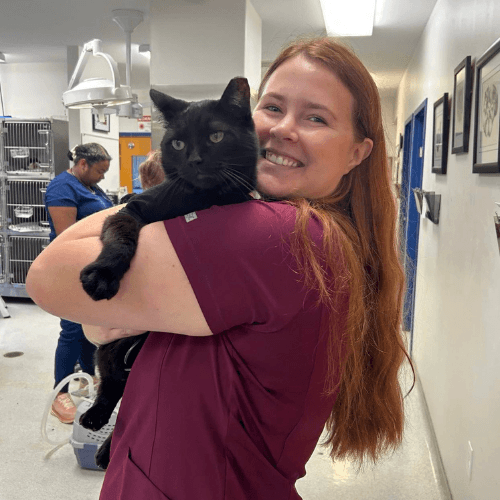 vet examining a pet held by a lady